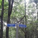 산인-6 이미지