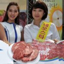 명보축산 이미지