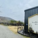 라온혜윰힐링센터 이미지