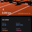 602 | 나이키 보메로 플러스 HV8154-602 후기 | 페이스 변화 + 사이즈 팁