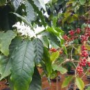 해종농장 이미지