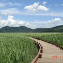 순천만여행 이미지