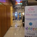 강남역 헤어샵 : 라보떼헤어살롱 알베르클리닉 후기
