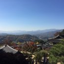 일심통상 이미지