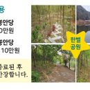 별이머무는곳 이미지