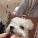 심쿵