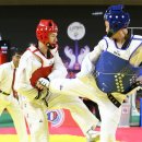 선 태권도 이미지