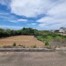 구좌중앙초등학교 이미지