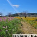이포순두부,막국수 이미지