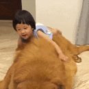 보라매전자담배 이미지