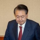 벚꽃사이로 이미지