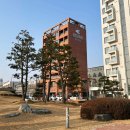 s pick] 대천 호텔 추천! 오션뷰 스파와 힐링을 동시에! 하운드호텔 테라스 스파 패밀리 숙박 리얼 후기🌊