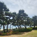 창조조경건설 이미지