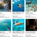 고래온누리약국 | 필리핀 세부여행 준비2 (환전,로컬페이지투어 업체 추천, 준비물 체크리스트, 팁)