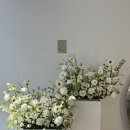 울산 트렁크프로포즈 이벤트 울산신정동 꽃집 웬에버플라워