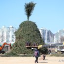 금호강4 이미지