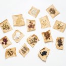 성지한의원 이미지