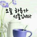 칼린