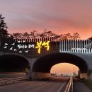 생태터널입구 이미지