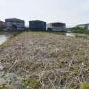 창공농장 이미지