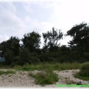 강에가펜션 이미지