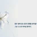 엘앤케이수학학원