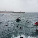 영랑동 해안방파제 이미지