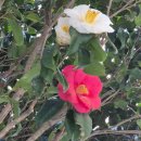 이현진농장 이미지