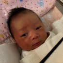 러블리댕 이미지