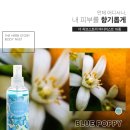 Body Story(바디스토리) 이미지