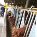 재현축산 이미지