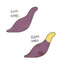 프리바다 | 2025 11월 정산