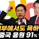 국짐 내부에서도 욕하는 다음 중국 응원 91% 선동 이미지