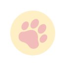 아미고펫 | 디고 강아지 샴푸로 요크셔테리어 윤기 관리