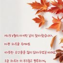 로즈버드 - 군산시 | 로즈버드