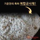 기운찬 새출발을 위해 기운찬 선착순 할인 이벤트!!