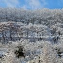 복이펑펑 이미지