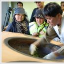 평사드레 이미지