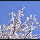 여흘마을 이미지