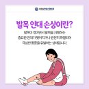 호매실신경외과 호매실연세신경외과 ) 발목을 자주 삐끗한다면? 발목 인대 손상을 의심해보세요