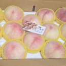 반디농원