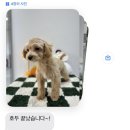 단골가개 이미지