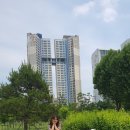 수원-0609 이미지