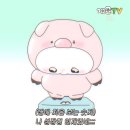 돈순이 - 제주시 | 돈순이