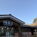 아지&냥이 | 대관령 양떼목장 아이랑 강원도평창 아이랑 가볼만한곳