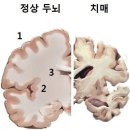 6/6일 김영란체온관리이사 편지입니다. 이미지