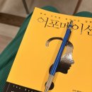 어포메이션 | 26년1월📖-어포메이션