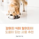 포앤벳 | 강아지 식이 알러지에 도움이 되는 사료 추천
