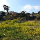 그랑빌가족호텔 이미지