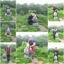 대간 남진 12차 -피재-화방재 이미지